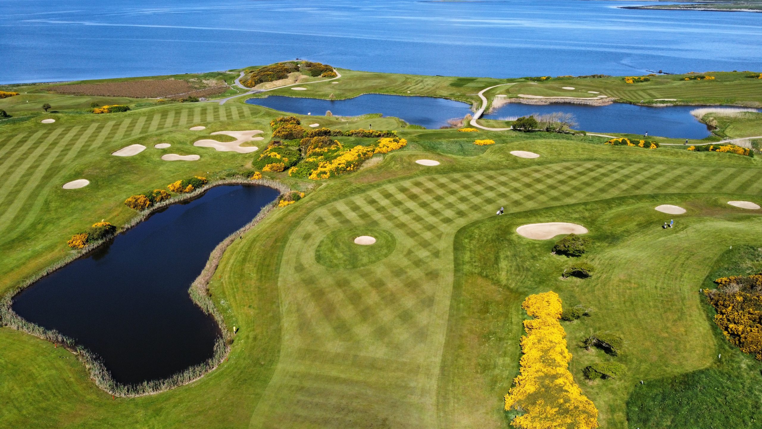 A stunning aerial view of Galway Bay Golf Resort, showcasing its meticulously maintained fairways with striking checkerboard mowing patterns. The course is dotted with sand bunkers, water hazards, and vibrant golden gorse bushes, all set against the breathtaking backdrop of Galway Bay's deep blue waters. The natural beauty and strategic course design create a world-class golfing experience along Ireland’s scenic west coast.